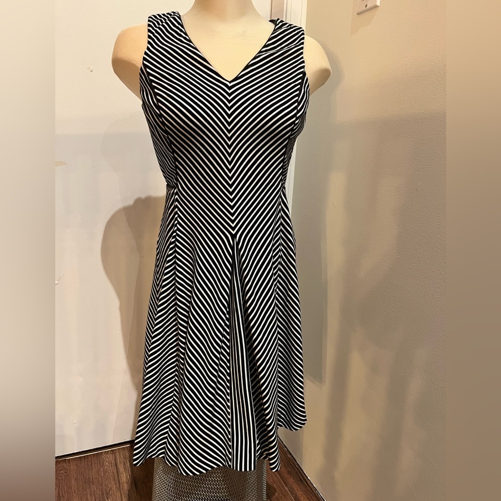Banana Republic Women’s size 10 Petite Fit & Flare Dress.